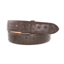 1.5" Straight Nicotine Ostrich Belt