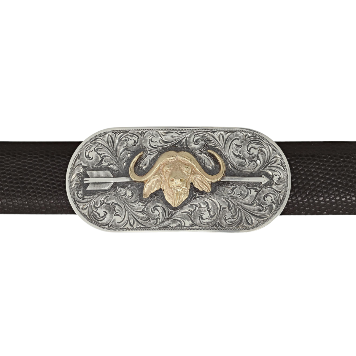 Denton 1815 Gold Cape Buffalo &amp; Arrow Trophy
