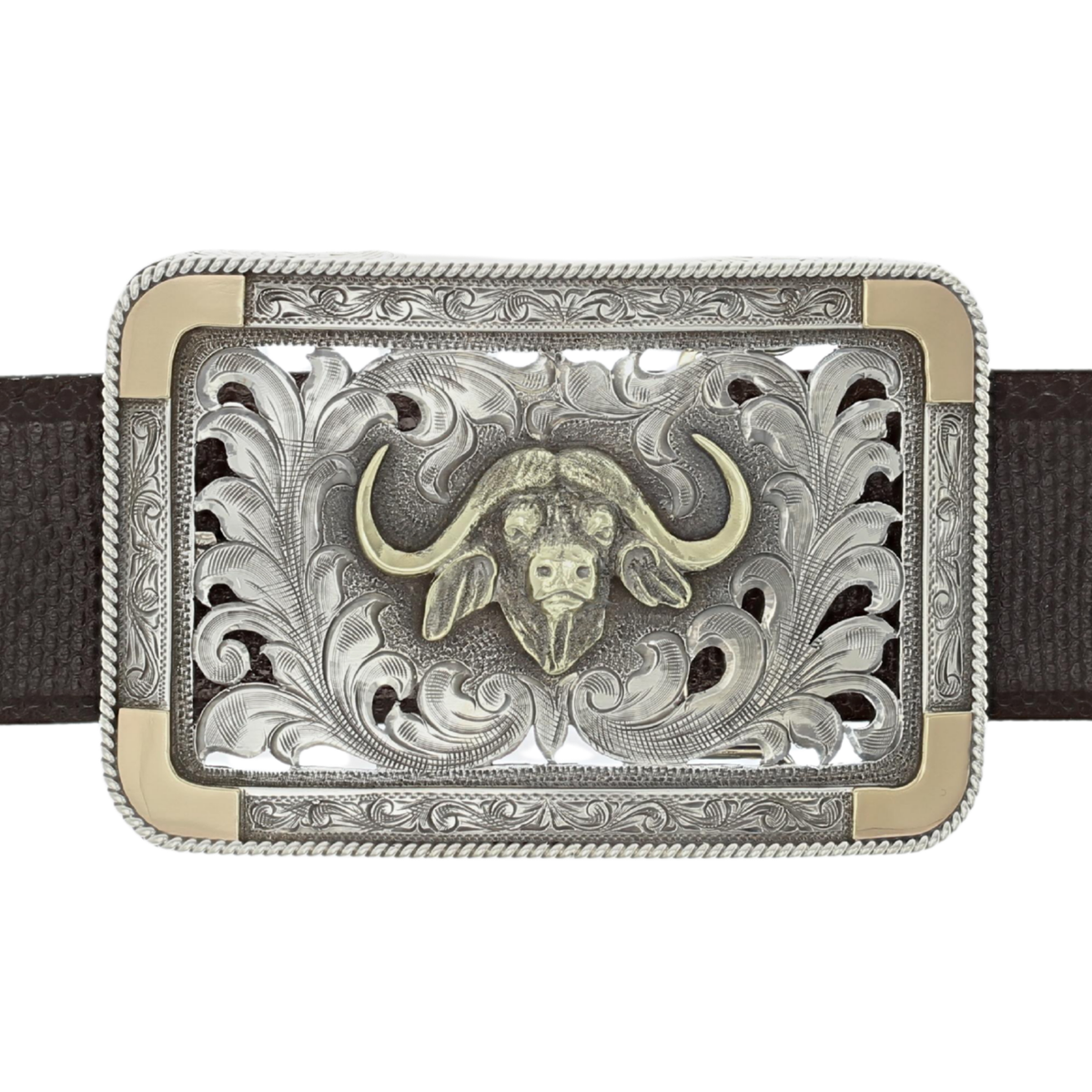 Eastland 1802 Gold Cape Buffalo Trophy Buckle