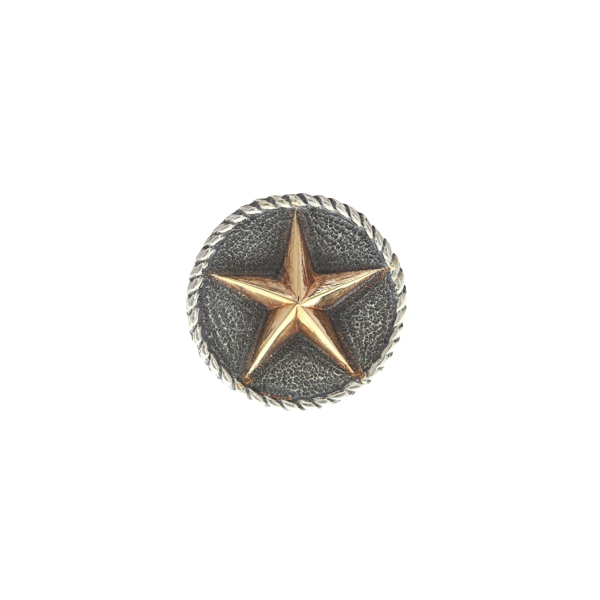 Slide 1855 Sterling with Gold Star