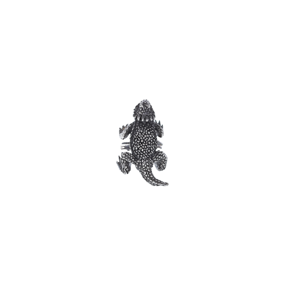 Slide 1900 Sterling Horned Toad
